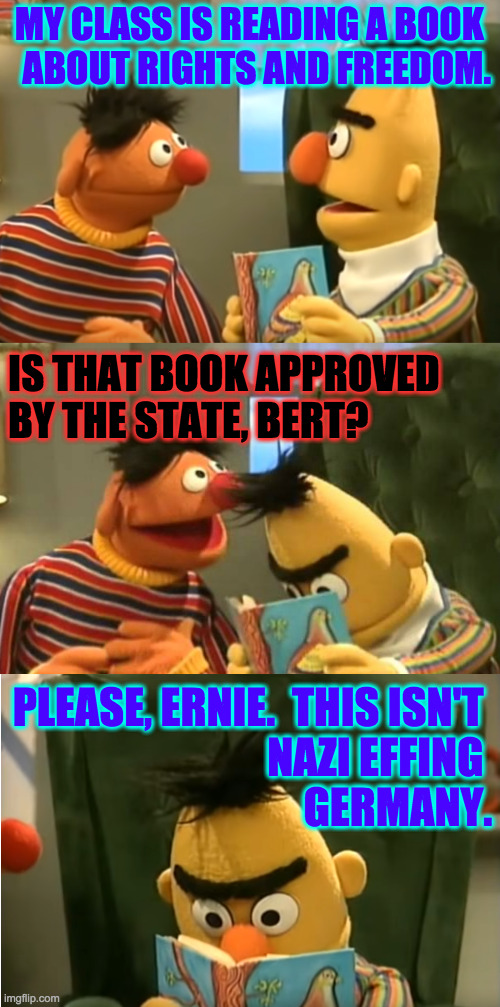 Bert and Ernie read about Antifa. | MY CLASS IS READING A BOOK 
ABOUT RIGHTS AND FREEDOM. IS THAT BOOK APPROVED
BY THE STATE, BERT? PLEASE, ERNIE.  THIS ISN'T 
NAZI EFFING 
GERMANY. | image tagged in memes,bert and ernie,freedom,rights,florida nazis | made w/ Imgflip meme maker
