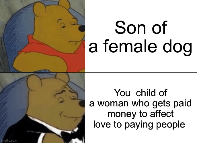 Love we gottchu | Son of a female dog; You  child of a woman who gets paid money to affect love to paying people | image tagged in memes,tuxedo winnie the pooh | made w/ Imgflip meme maker