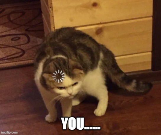 You what now | YOU...... | image tagged in cat,processing cat | made w/ Imgflip meme maker