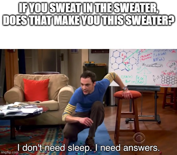 I Don't Need Sleep. I Need Answers | IF YOU SWEAT IN THE SWEATER, DOES THAT MAKE YOU THIS SWEATER? | image tagged in i don't need sleep i need answers | made w/ Imgflip meme maker