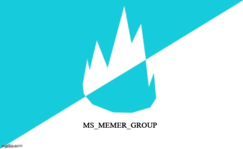 MS memer group flag | image tagged in ms memer group flag | made w/ Imgflip meme maker
