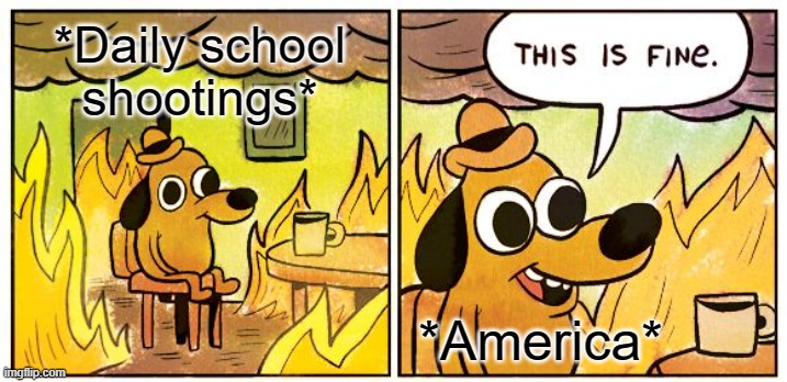 America | *Daily school shootings*; *America* | image tagged in memes,this is fine | made w/ Imgflip meme maker