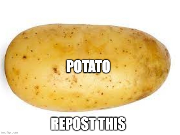 POTATO; REPOST THIS | image tagged in memes,potato | made w/ Imgflip meme maker