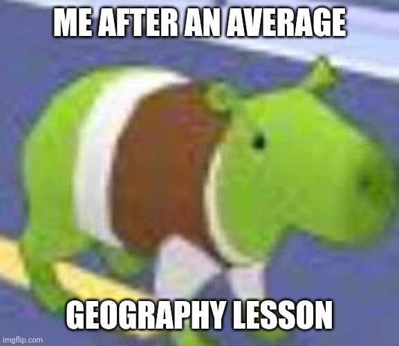 Shrek capybara | ME AFTER AN AVERAGE; GEOGRAPHY LESSON | image tagged in shrek capybara | made w/ Imgflip meme maker