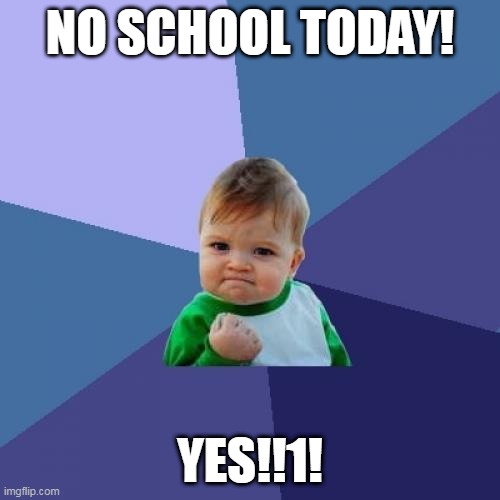 NO SCHOOL!! |  NO SCHOOL TODAY! YES!!1! | image tagged in memes,success kid | made w/ Imgflip meme maker