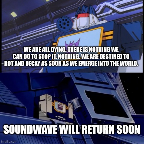 Soundwave will return with more disturbing facts | WE ARE ALL DYING. THERE IS NOTHING WE CAN DO TO STOP IT. NOTHING. WE ARE DESTINED TO ROT AND DECAY AS SOON AS WE EMERGE INTO THE WORLD. SOUNDWAVE WILL RETURN SOON | image tagged in soundwave will return with more disturbing facts | made w/ Imgflip meme maker