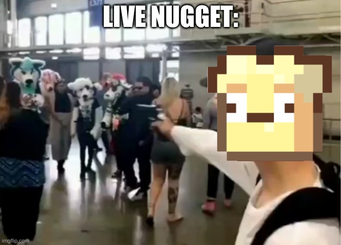 yep, that's what i look like | LIVE NUGGET: | image tagged in teen shoots furry | made w/ Imgflip meme maker