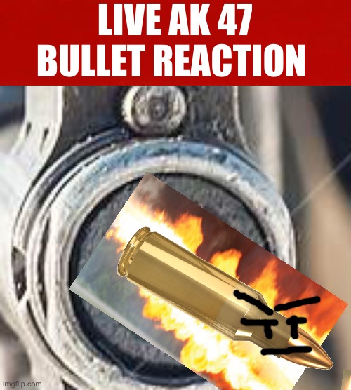 LIVE AK 47 BULLET REACTION | made w/ Imgflip meme maker