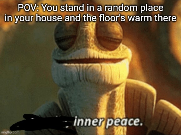 The best feeling there is | POV: You stand in a random place in your house and the floor's warm there | image tagged in finally inner peace | made w/ Imgflip meme maker