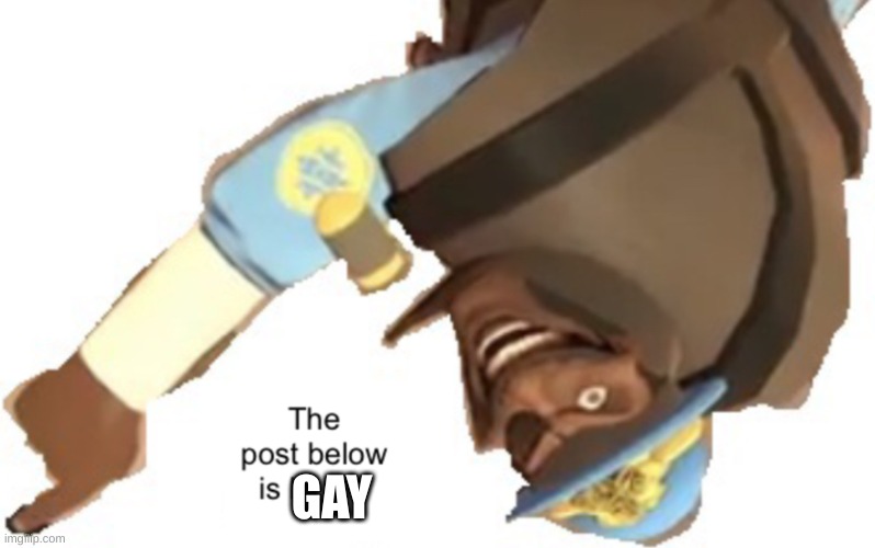 hahaha | GAY | image tagged in the post below is below | made w/ Imgflip meme maker