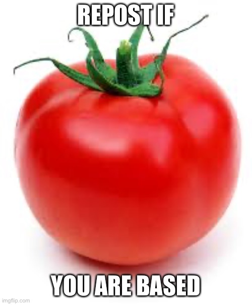 tomato | REPOST IF; YOU ARE BASED | image tagged in tomato | made w/ Imgflip meme maker