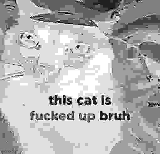 It is | made w/ Imgflip meme maker