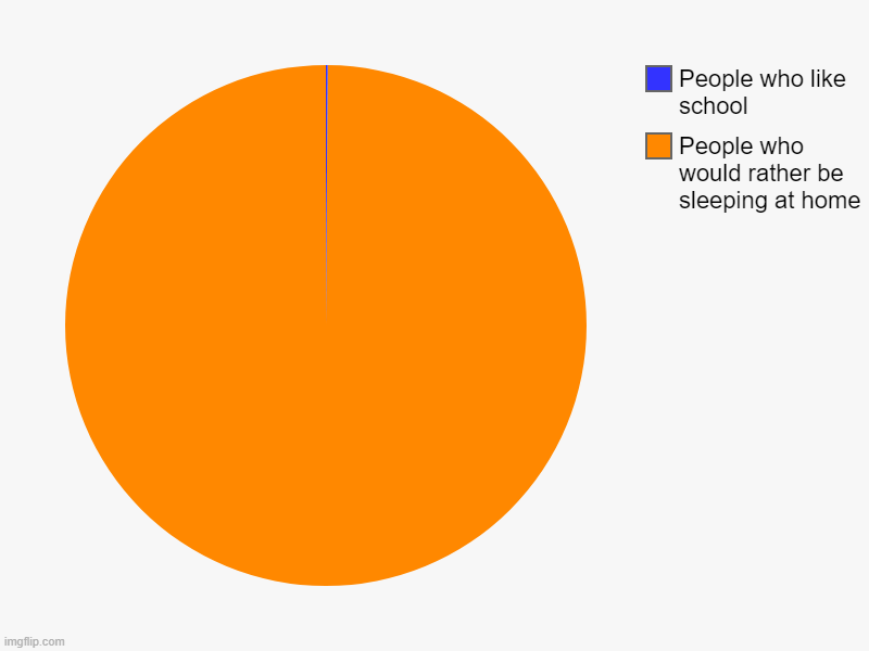 People who would rather be sleeping at home, People who like school | image tagged in charts,pie charts | made w/ Imgflip chart maker