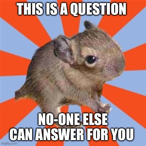 This is a question no-one else can answer for you | THIS IS A QUESTION; NO-ONE ELSE CAN ANSWER FOR YOU | image tagged in dissociative degu,denial,dissociative identity disorder,osdd,do i have did,diagnosis | made w/ Imgflip meme maker