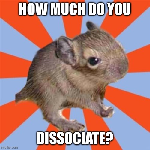 How much do you dissociate? | HOW MUCH DO YOU; DISSOCIATE? | image tagged in dissociative degu,dissociation,dissociative,disassociate,dissociative identity disorder,depersonalization | made w/ Imgflip meme maker