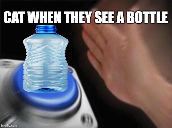 Blank Nut Button Meme | CAT WHEN THEY SEE A BOTTLE | image tagged in memes,blank nut button | made w/ Imgflip meme maker