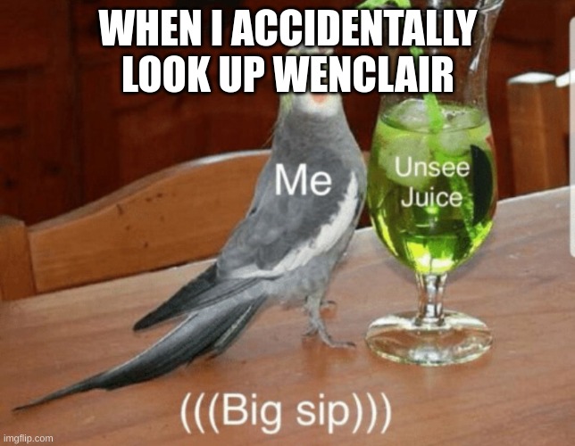 Seriously do not look it up | WHEN I ACCIDENTALLY LOOK UP WENCLAIR | image tagged in unsee juice,wednesday,pigeon | made w/ Imgflip meme maker