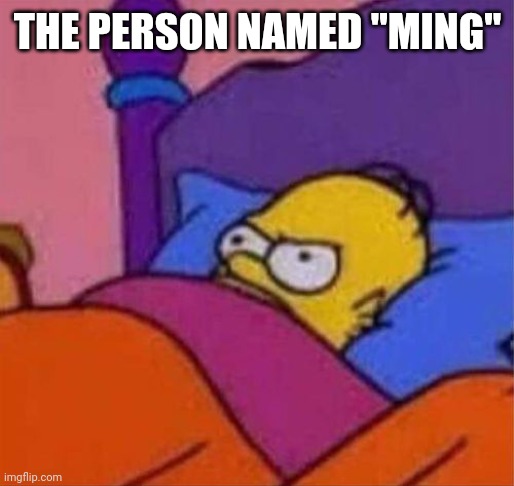 angry homer simpson in bed | THE PERSON NAMED "MING" | image tagged in angry homer simpson in bed | made w/ Imgflip meme maker