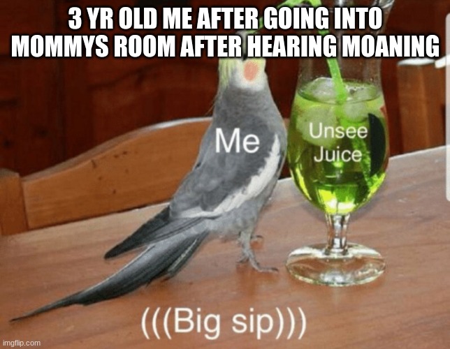 LOL | 3 YR OLD ME AFTER GOING INTO MOMMYS ROOM AFTER HEARING MOANING | image tagged in unsee juice | made w/ Imgflip meme maker