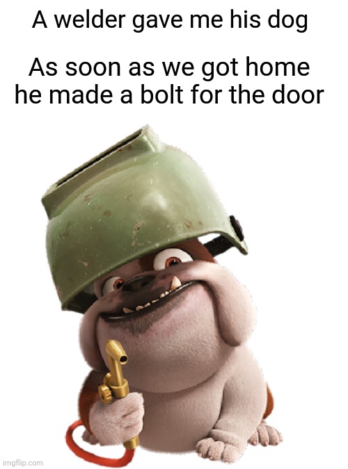 Bolt For the Door | A welder gave me his dog; As soon as we got home he made a bolt for the door | image tagged in dog,welder,bolt | made w/ Imgflip meme maker