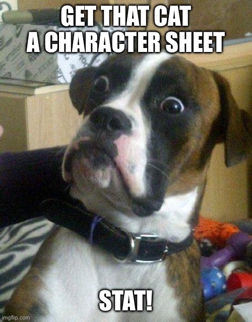 Surprised Dog | GET THAT CAT A CHARACTER SHEET STAT! | image tagged in surprised dog | made w/ Imgflip meme maker