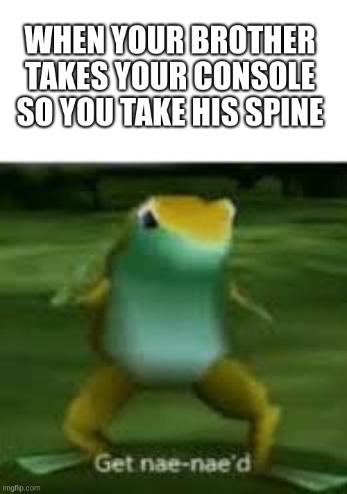 get nae nae'd | WHEN YOUR BROTHER TAKES YOUR CONSOLE SO YOU TAKE HIS SPINE | image tagged in get nae naed | made w/ Imgflip meme maker