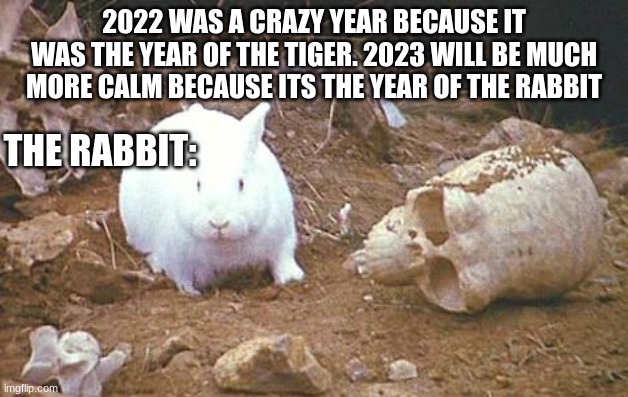 Year of the killer rabbit :O | 2022 WAS A CRAZY YEAR BECAUSE IT WAS THE YEAR OF THE TIGER. 2023 WILL BE MUCH MORE CALM BECAUSE ITS THE YEAR OF THE RABBIT; THE RABBIT: | image tagged in monty python rabbit | made w/ Imgflip meme maker