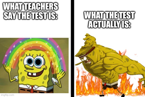this relatable? | WHAT TEACHERS SAY THE TEST IS:; WHAT THE TEST ACTUALLY IS: | image tagged in fun,relatable | made w/ Imgflip meme maker
