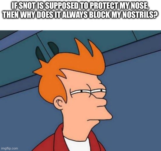 Futurama Fry | IF SNOT IS SUPPOSED TO PROTECT MY NOSE, THEN WHY DOES IT ALWAYS BLOCK MY NOSTRILS? | image tagged in memes,futurama fry | made w/ Imgflip meme maker