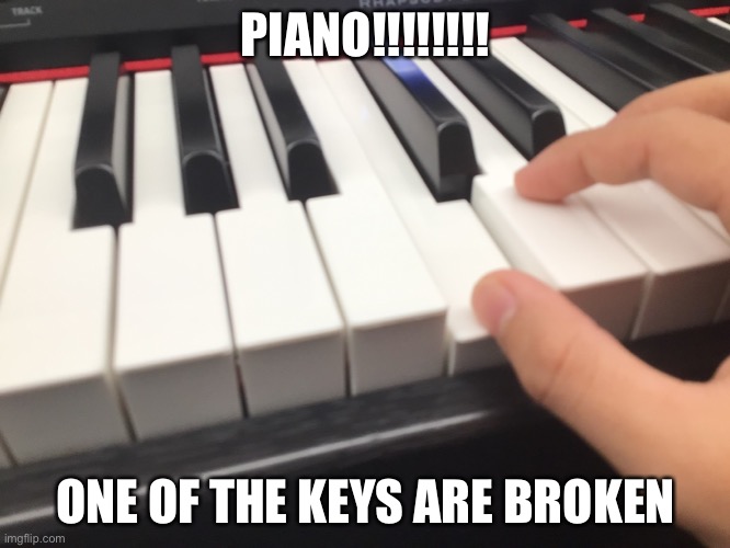 ONG FINGER REVEAL?!?! | PIANO!!!!!!!! ONE OF THE KEYS ARE BROKEN | made w/ Imgflip meme maker