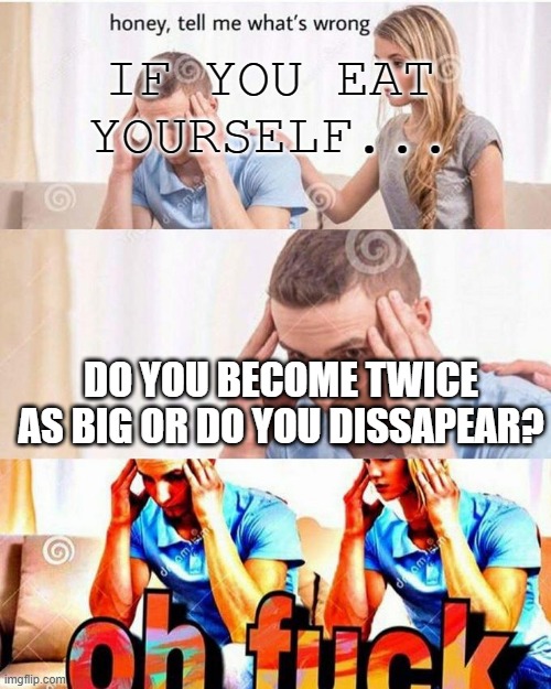Honey tell me what's wrong... | IF YOU EAT YOURSELF... DO YOU BECOME TWICE AS BIG OR DO YOU DISSAPEAR? | image tagged in honey tell me what's wrong | made w/ Imgflip meme maker