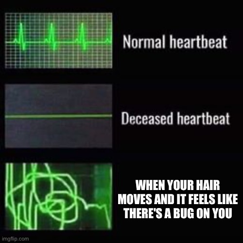 insert title | WHEN YOUR HAIR MOVES AND IT FEELS LIKE THERE'S A BUG ON YOU | image tagged in heartbeat rate,memes,funny | made w/ Imgflip meme maker