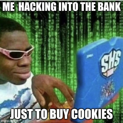 hacker | ME  HACKING INTO THE BANK; JUST TO BUY COOKIES | image tagged in ryan beckford | made w/ Imgflip meme maker