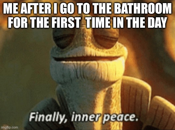 This is so true | ME AFTER I GO TO THE BATHROOM FOR THE FIRST  TIME IN THE DAY | image tagged in finally inner peace | made w/ Imgflip meme maker