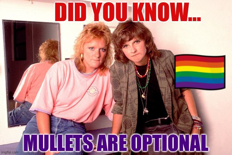 Did you know mullets are optional |  DID YOU KNOW... MULLETS ARE OPTIONAL | image tagged in the indigo girls,lgbtq,lesbians,lesbian,funny | made w/ Imgflip meme maker