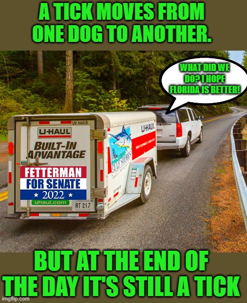 yep | A TICK MOVES FROM ONE DOG TO ANOTHER. WHAT DID WE DO? I HOPE FLORIDA IS BETTER! BUT AT THE END OF THE DAY IT'S STILL A TICK | image tagged in democrats | made w/ Imgflip meme maker