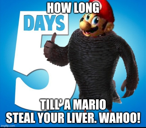 Reggie requires livers | HOW LONG; TILL' A MARIO STEAL YOUR LIVER. WAHOO! | image tagged in memes | made w/ Imgflip meme maker
