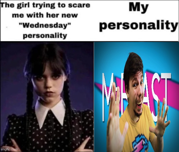 MRBEAST!!!!!! | image tagged in the girl trying to scare me with her new wednesday personality | made w/ Imgflip meme maker