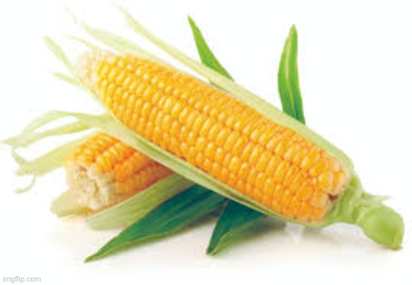 just corn | image tagged in memes,vegetables,upvote,funny,fyp | made w/ Imgflip meme maker