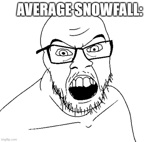 Angry Soyboy | AVERAGE SNOWFALL: | image tagged in angry soyboy | made w/ Imgflip meme maker