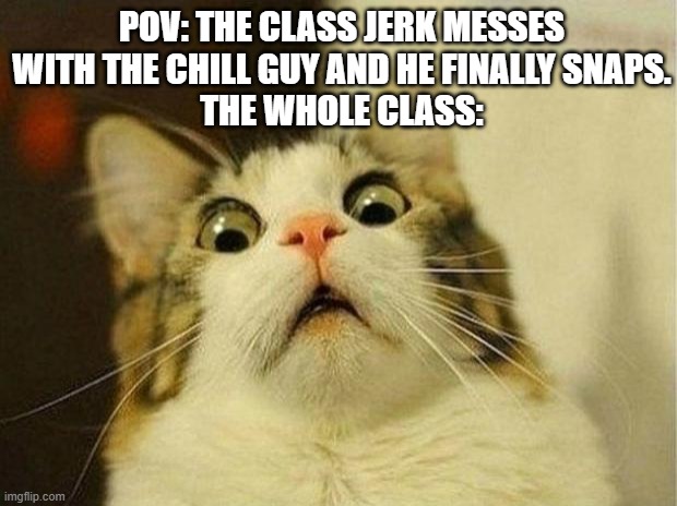 There's been situations where I'm the chill guy in this story | POV: THE CLASS JERK MESSES WITH THE CHILL GUY AND HE FINALLY SNAPS.
THE WHOLE CLASS: | image tagged in memes,scared cat | made w/ Imgflip meme maker