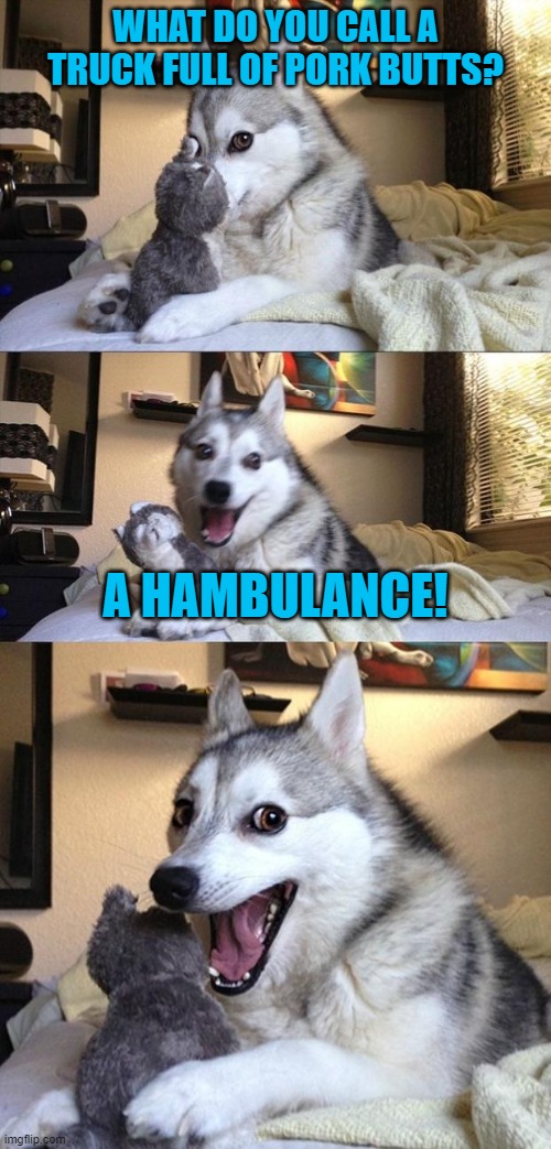 Bad Joke Dog | WHAT DO YOU CALL A TRUCK FULL OF PORK BUTTS? A HAMBULANCE! | image tagged in bad joke dog | made w/ Imgflip meme maker