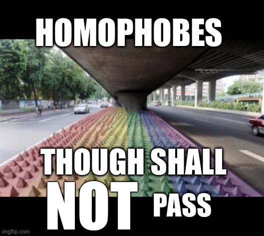Homophobes though shall not pass | HOMOPHOBES; THOUGH SHALL; NOT; PASS | image tagged in lgbtq spiked highway underpass,homophobe,homophobia,lgbt,lgbtq,safe space | made w/ Imgflip meme maker