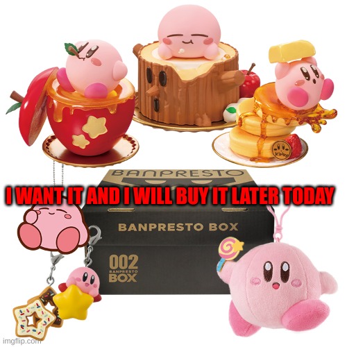 Kirby stuff | I WANT IT AND I WILL BUY IT LATER TODAY | image tagged in kirby,stuff | made w/ Imgflip meme maker