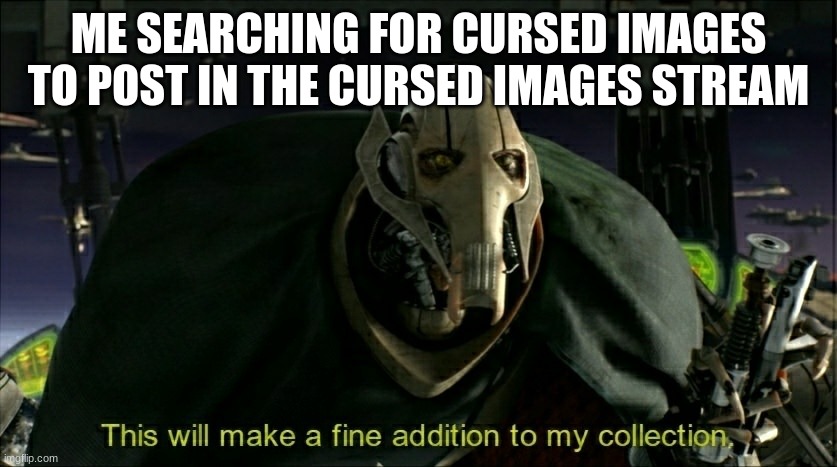 This will make a fine addition to my collection | ME SEARCHING FOR CURSED IMAGES TO POST IN THE CURSED IMAGES STREAM | image tagged in this will make a fine addition to my collection | made w/ Imgflip meme maker