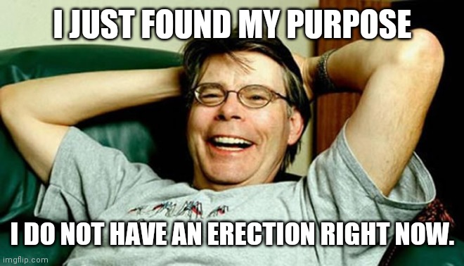 Stephen King | I JUST FOUND MY PURPOSE I DO NOT HAVE AN ERECTION RIGHT NOW. | image tagged in stephen king | made w/ Imgflip meme maker