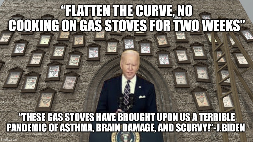 Dr. Confirmed joe has dain bramage | “FLATTEN THE CURVE, NO COOKING ON GAS STOVES FOR TWO WEEKS”; “THESE GAS STOVES HAVE BROUGHT UPON US A TERRIBLE PANDEMIC OF ASTHMA, BRAIN DAMAGE, AND SCURVY!“-J.BIDEN | image tagged in more joe,memes,funny | made w/ Imgflip meme maker