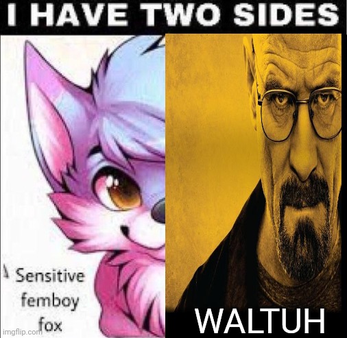 WALTUH | image tagged in jdb | made w/ Imgflip meme maker