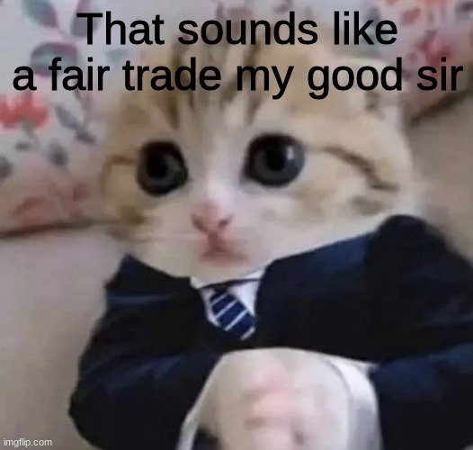 cat deals | That sounds like a fair trade my good sir | image tagged in cat deals | made w/ Imgflip meme maker
