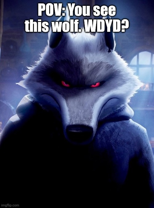 I CANNOT stress this enough, NOT my OC! Credit to DreamWorks. | POV: You see this wolf. WDYD? | made w/ Imgflip meme maker